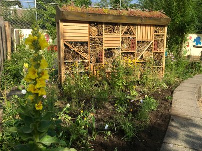 NL Bloeit! Insectenhotel met groen dak voor bijen en vlinders