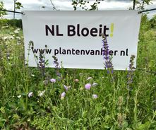 NL Bloeit! - kwekerij Planten van hier