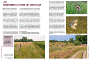 Planten van hier